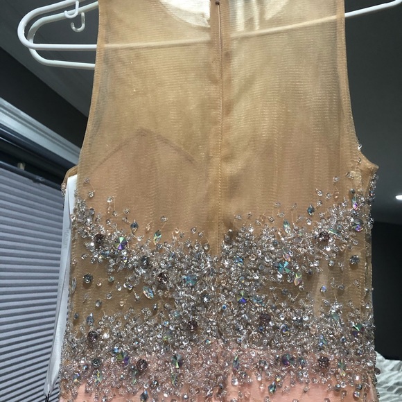 Terani Couture Pink Crystal illusion Dress-BNWT - Picture 7 of 10